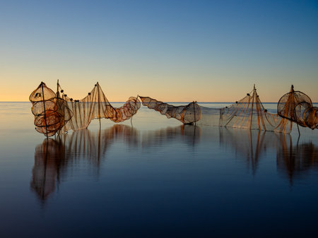Fishing net on the calm waters of a sunrise in the Ebro delta, Catalonia, Spain. Fishing concept.の写真素材