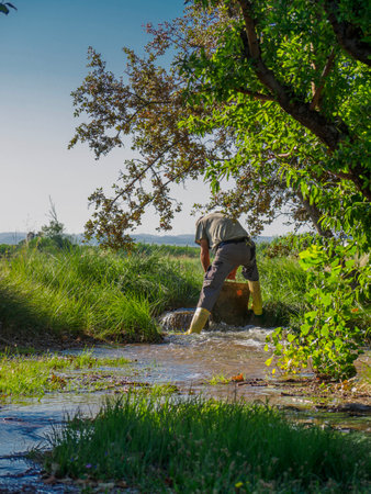 Older man in boots irrigating a field of fruit trees by channeling water, flooding the field.の写真素材