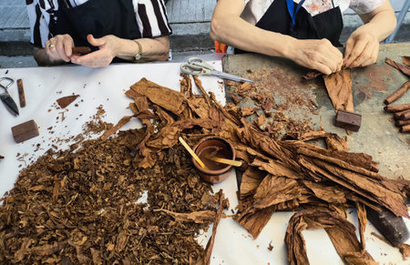 Close-up of hands making cigars from dried tobacco leaves on the rolling mill table. Cutting, twisting and gluing. The finished handmade product on the stack.の写真素材