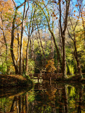 Lake and wooden walkways in autumn landscape at the Monasterio de Piedra in Nuevalos, Spain.の写真素材