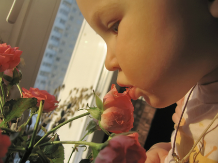 Cute baby girl and flowers rose close-upの写真素材