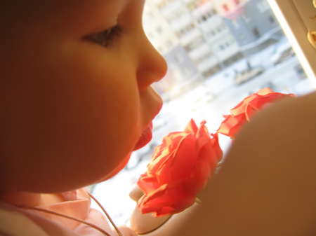 Cute baby girl and flowers rose close-upの写真素材