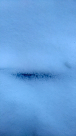 Falling Snow is Large on a clear dayの写真素材