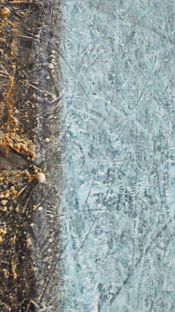 Ice Skating tracks in the winter at the rink