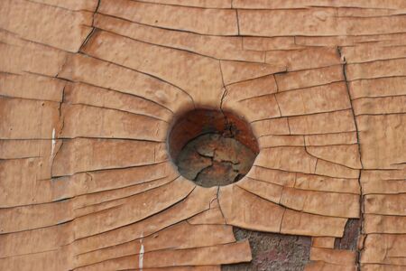 Wood Old Paint Texture old worn cricketの写真素材