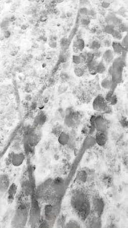 Background Footprints in the Snow Thawed Winter