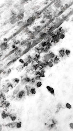 Background Footprints in the Snow Thawed Winterの写真素材