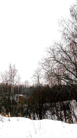 River, Forest, Snow not frozen in winterの写真素材