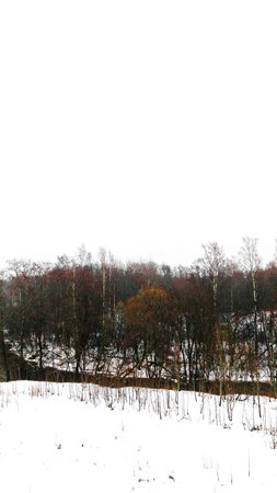 River, Forest, Snow not frozen in winterの写真素材