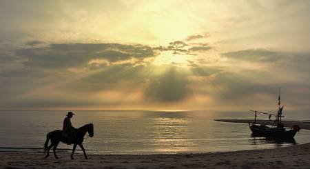 Beach and horse.の写真素材