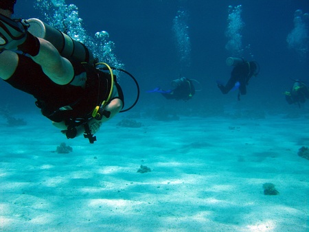 Divers Outside Sharm El Sheikh, Egypt