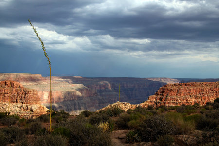 Grand Canyon West View, Arizona, USAのeditorial素材
