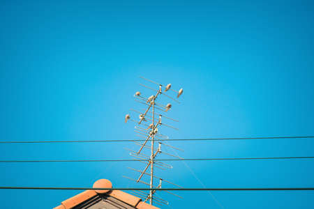 The bird perching the antenna.の写真素材