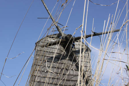 Windmillの写真素材