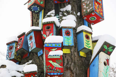 Winterの写真素材