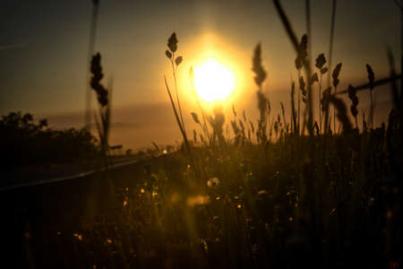 sunsetの写真素材