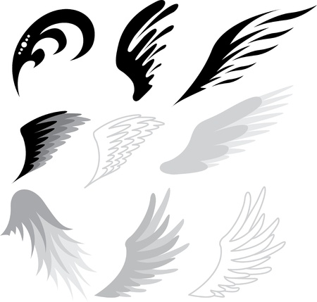 tattoo wingsのイラスト素材