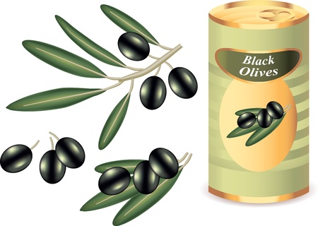 black olives, black olive branch and bank of black olives isolated   on white photo-realistic vector illustrationのイラスト素材