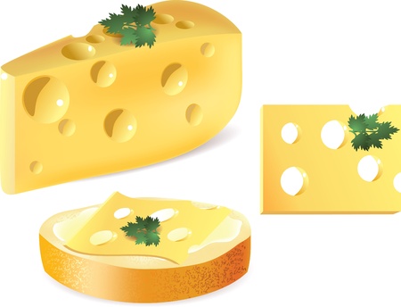 cheese and sandwich with cheese  isolated on white photo-realistic   vector illustrationのイラスト素材
