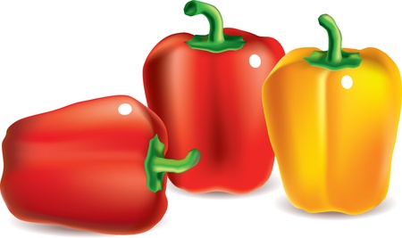 red and yellow sweet paprika isolated on white photo-realistic   vector illustrationのイラスト素材