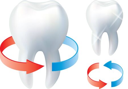 tooth and protection arrows isolated on white photo-realistic illustrationの写真素材