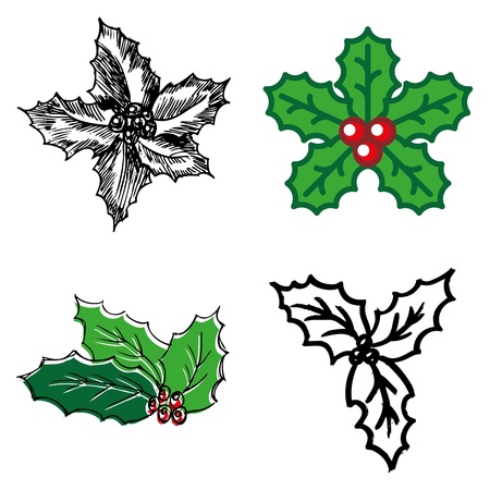 holly berry hand-drawn icons set のイラスト素材