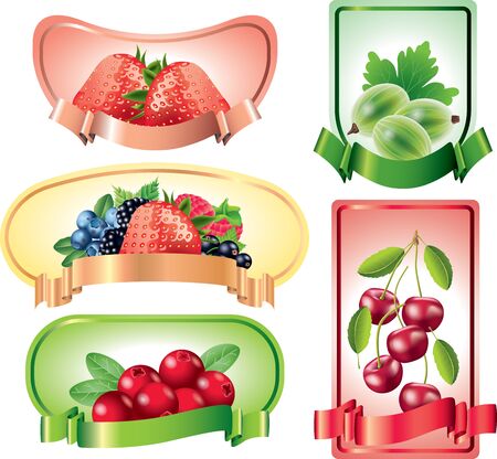 Berries on colorful labels backgrounds vector setのイラスト素材