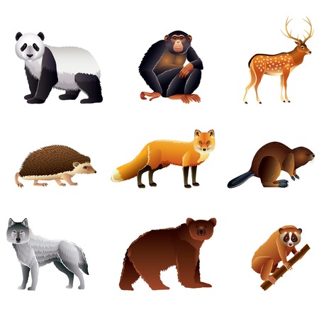 Popular Asian animals high detailed vector collectionのイラスト素材