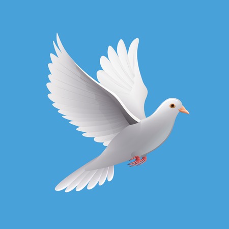 Flying dove isolated on blue photo-realistic vector illustrationのイラスト素材