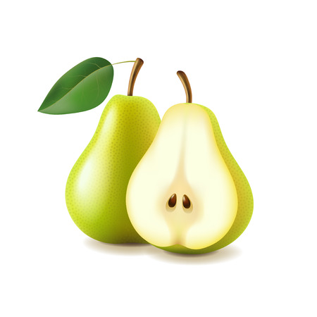 Pear and slice isolated on white photo-realistic vector illustrationのイラスト素材