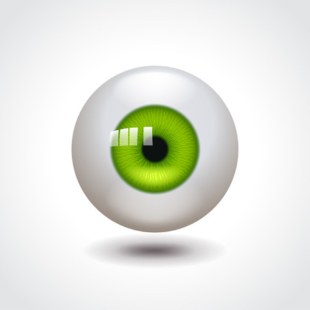 Eyeball with green iris photo realistic vector illustrationのイラスト素材