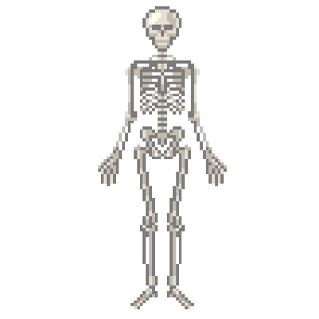 Pixel human skeleton high detailed isolated vectorのイラスト素材