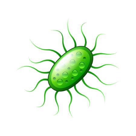 Green bacteria isolated on white photo-realistic vector illustrationのイラスト素材