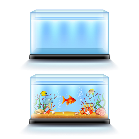 Aquarium with fish and blank isolated on white realistic vector illustrationのイラスト素材