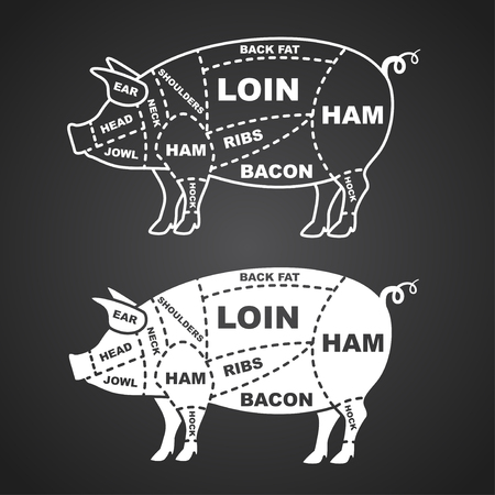 Pork cuts diagram isolated on black vector illustrationのイラスト素材