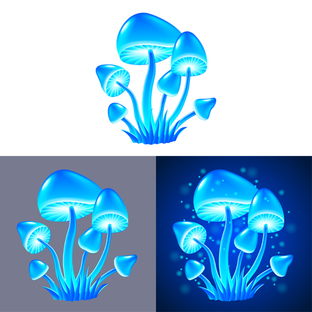 magic mushrooms isolated on white and dark photo-realistic vector illustrationのイラスト素材