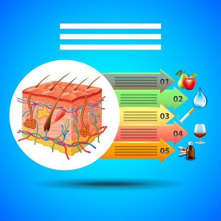 infographics skin anatomy arrows with health objects on blue background vectorのイラスト素材