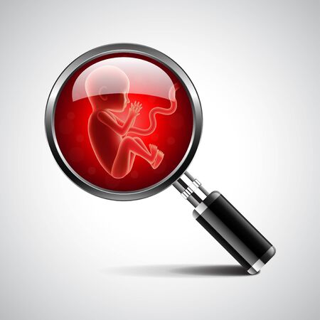 Fetus in magnifying glass of magnifier isolated photo-realistic vector illustrationのイラスト素材