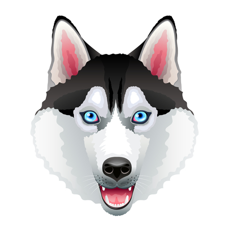 Husky dog portrait isolated on white photo-realistic vector illustrationのイラスト素材