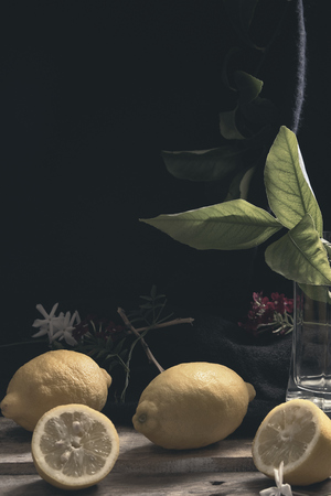 Freshly picked lemons with floral decorations and lemon leaves and branchesの写真素材