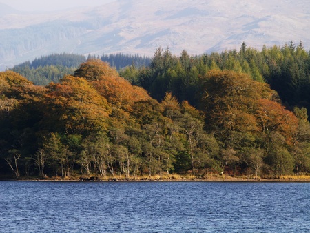 Autumn trees at the bank of a lakeの写真素材