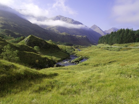 Green grass of a mountainの写真素材