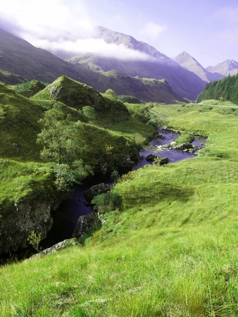 Green grass of a mountainの写真素材