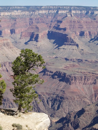 Grand Canyonの写真素材