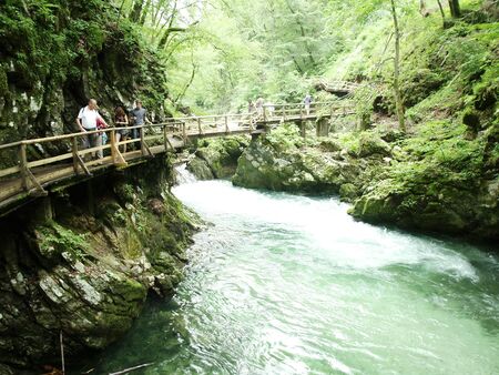 CANYON OF VINTGAR - JUN 13  Carved by the Radovna River, the sheer canyon walls are 50 to 100 m high  June 13, 2011, in Bled Gorge, Sloveniaのeditorial素材