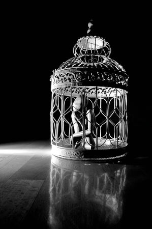 Wooden figurine in a cageの写真素材