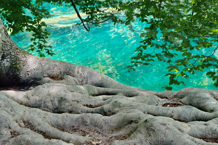 Plitvice Lakes National Park in Croatiaの写真素材