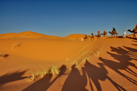 Shadow of Camels in Merzouga desert, Moroccoのeditorial素材