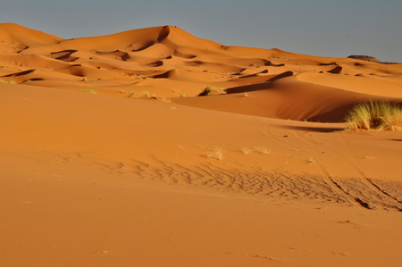 Merzouga desert in Moroccoの写真素材
