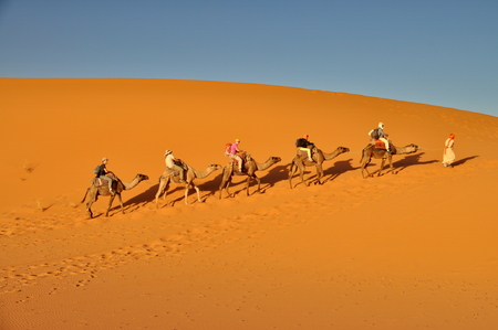 MERZOUGA DESERT - OCTOBER 01  Tourists in a Camel caravan in Merzouga Desert, Morocco on October 01, 2013 のeditorial素材